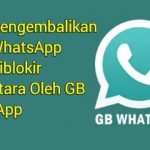 Cara Mengembalikan Akun WhatsApp Yang Diblokir Sementara Oleh GB WhatsApp